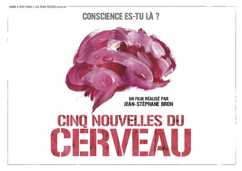 Cinq nouvelles du cerveau