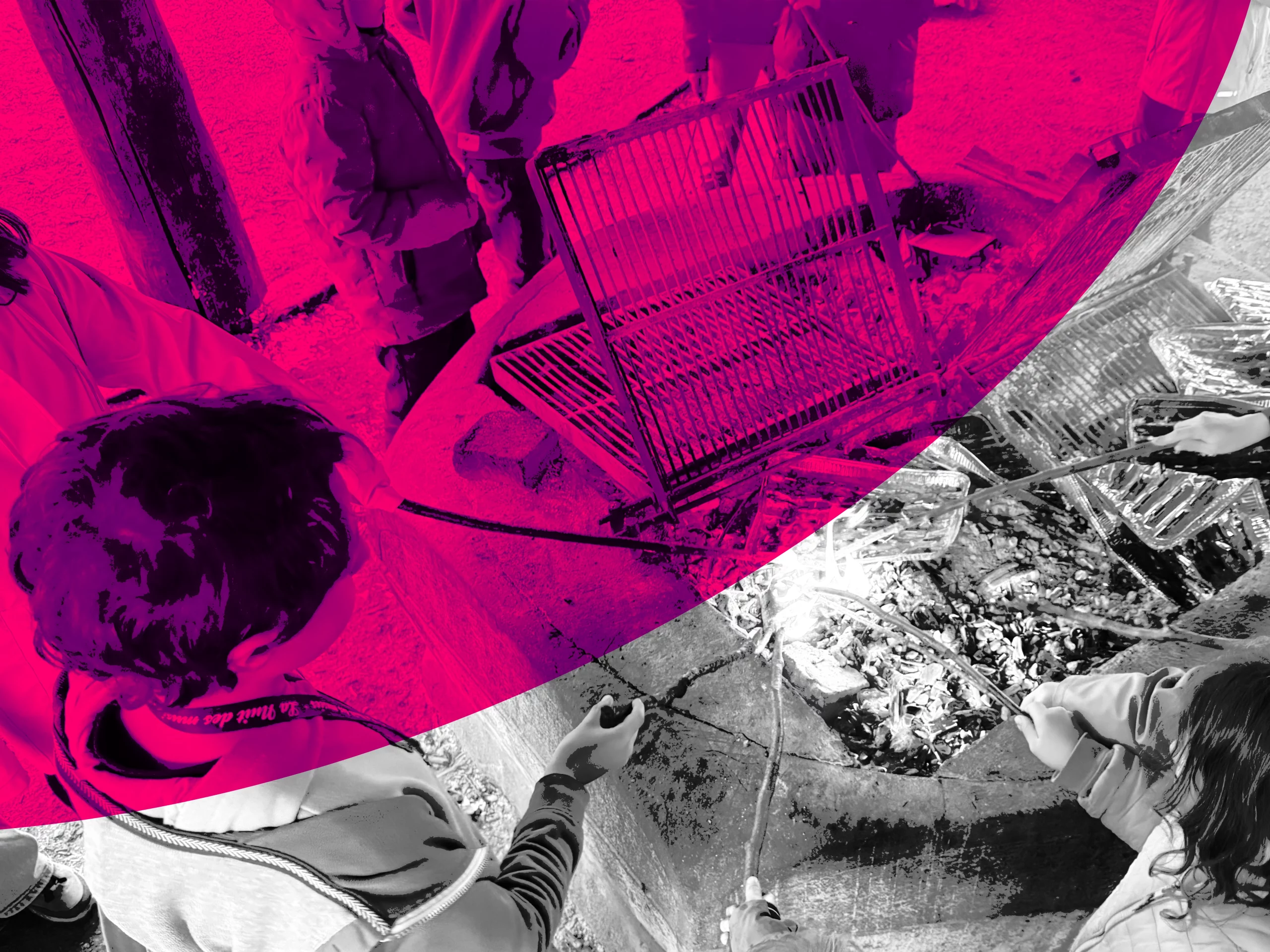 You are currently viewing Semaines vertes printemps